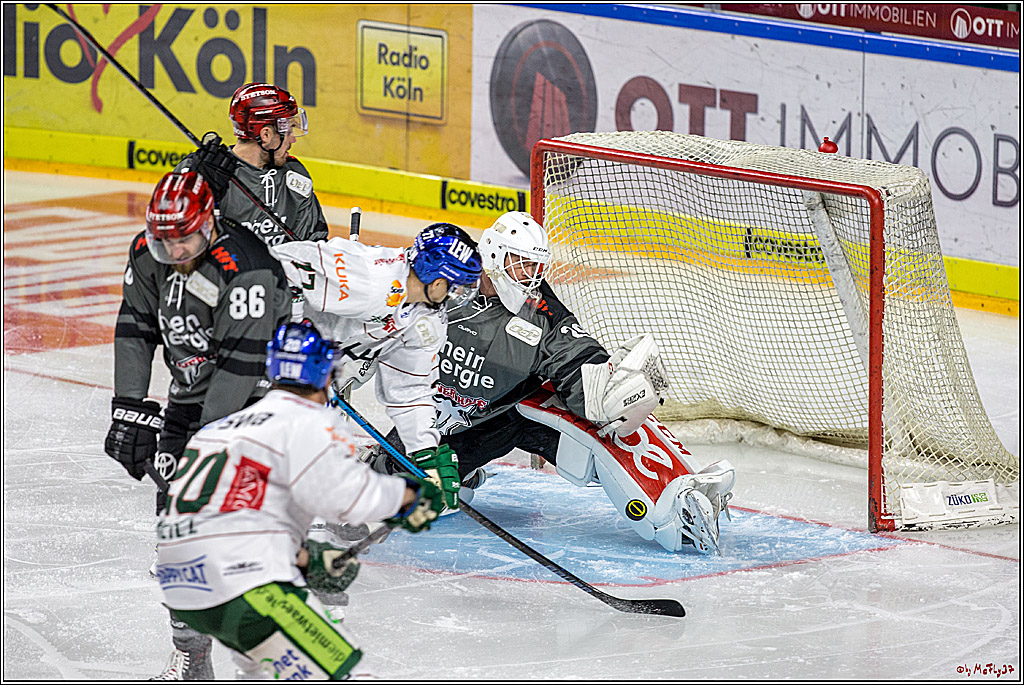 DEL Koelner Haie - Augsburg Panther, 14.09.2018